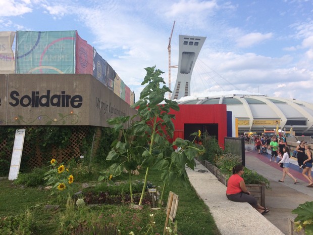 Olympic Stadium Montreal - Exterior/Landscape 