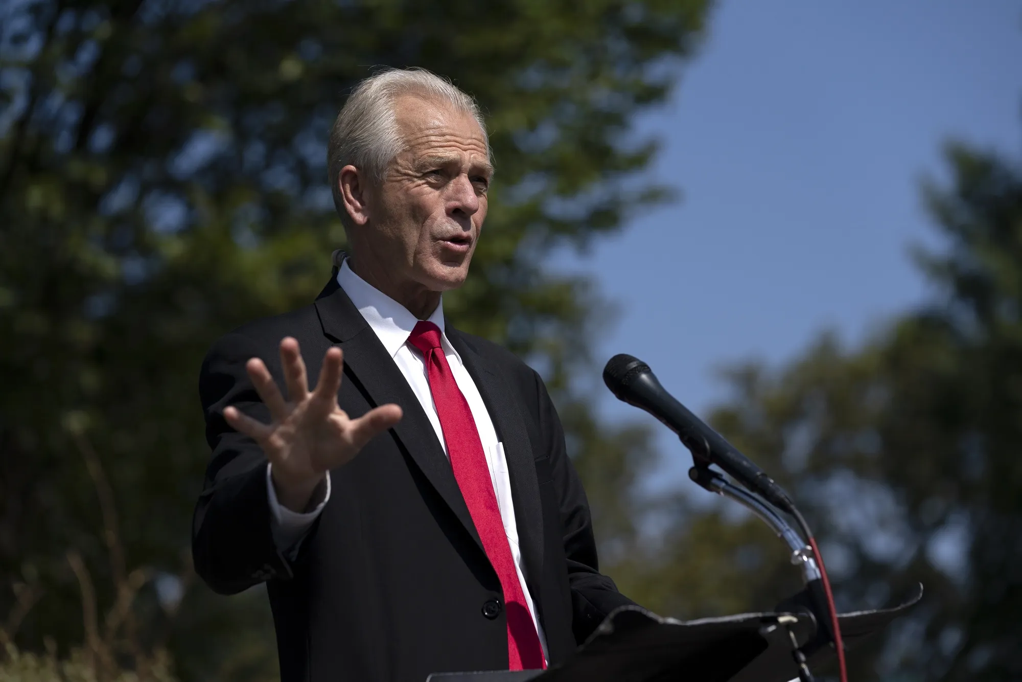 Peter Navarro