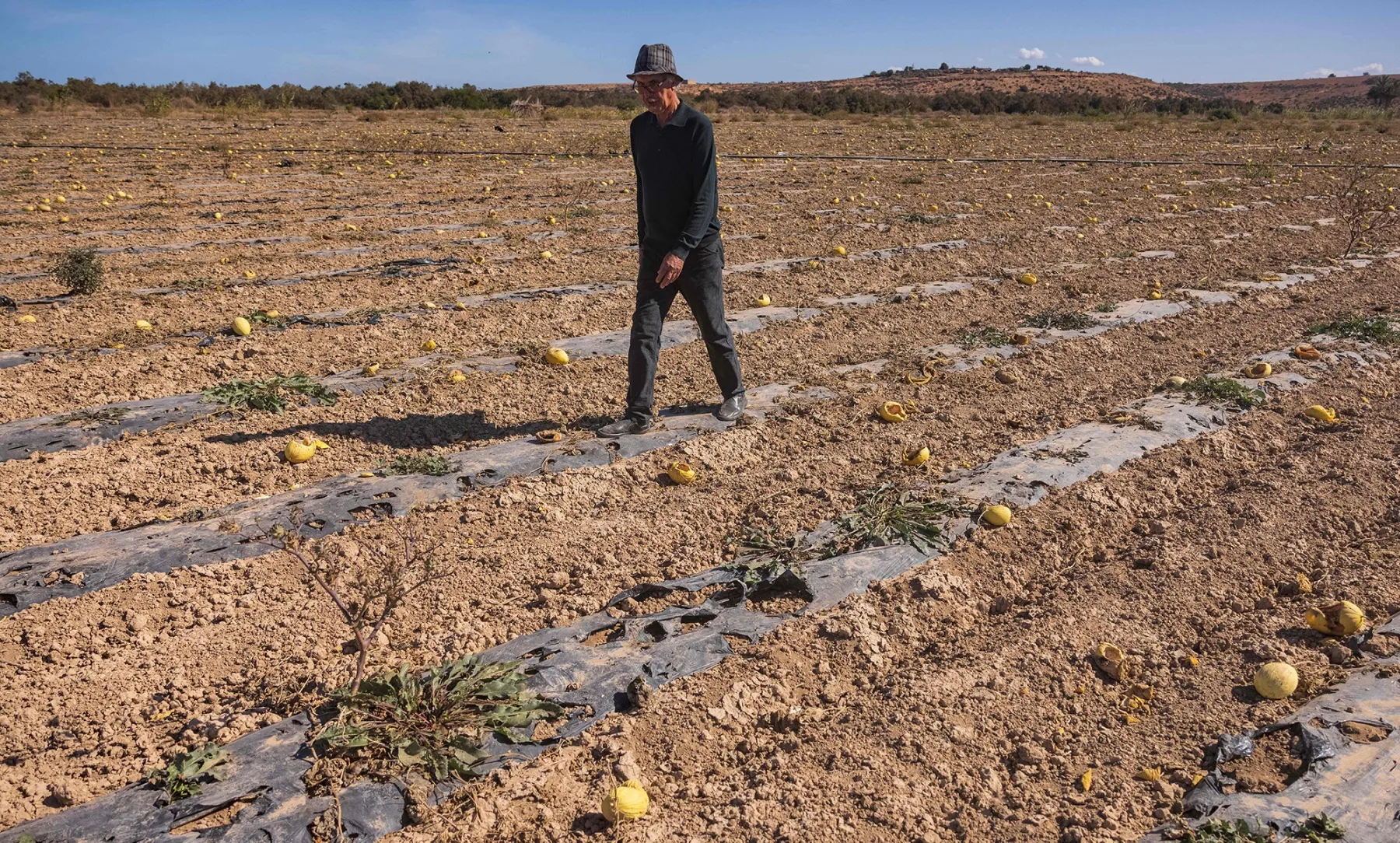A farmer walks in his dried-out melon field, near the city of Saidia in northeastern Morocco on Nov.&nbsp;2.