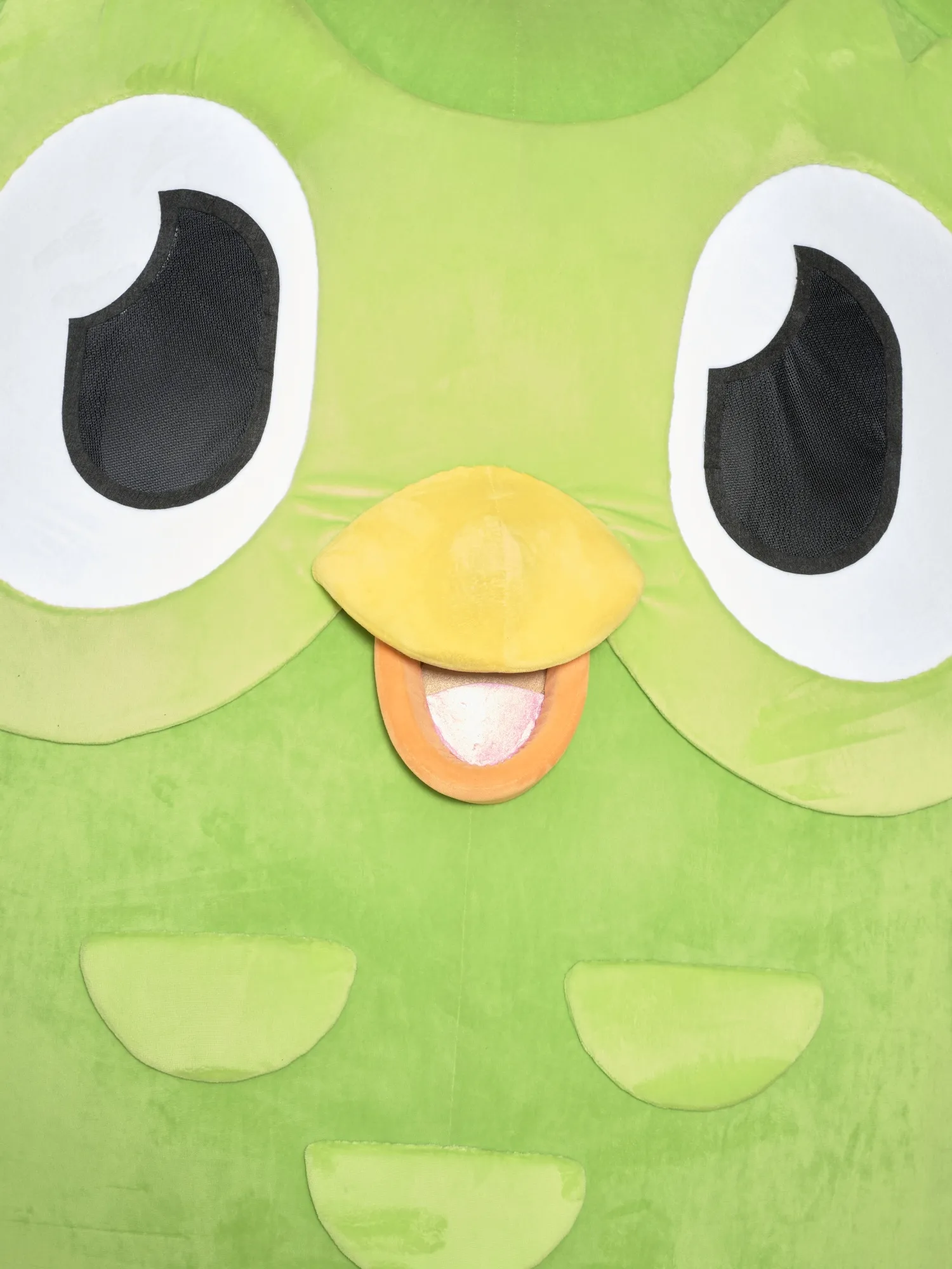 How Duolingo Gamified Language - Bloomberg