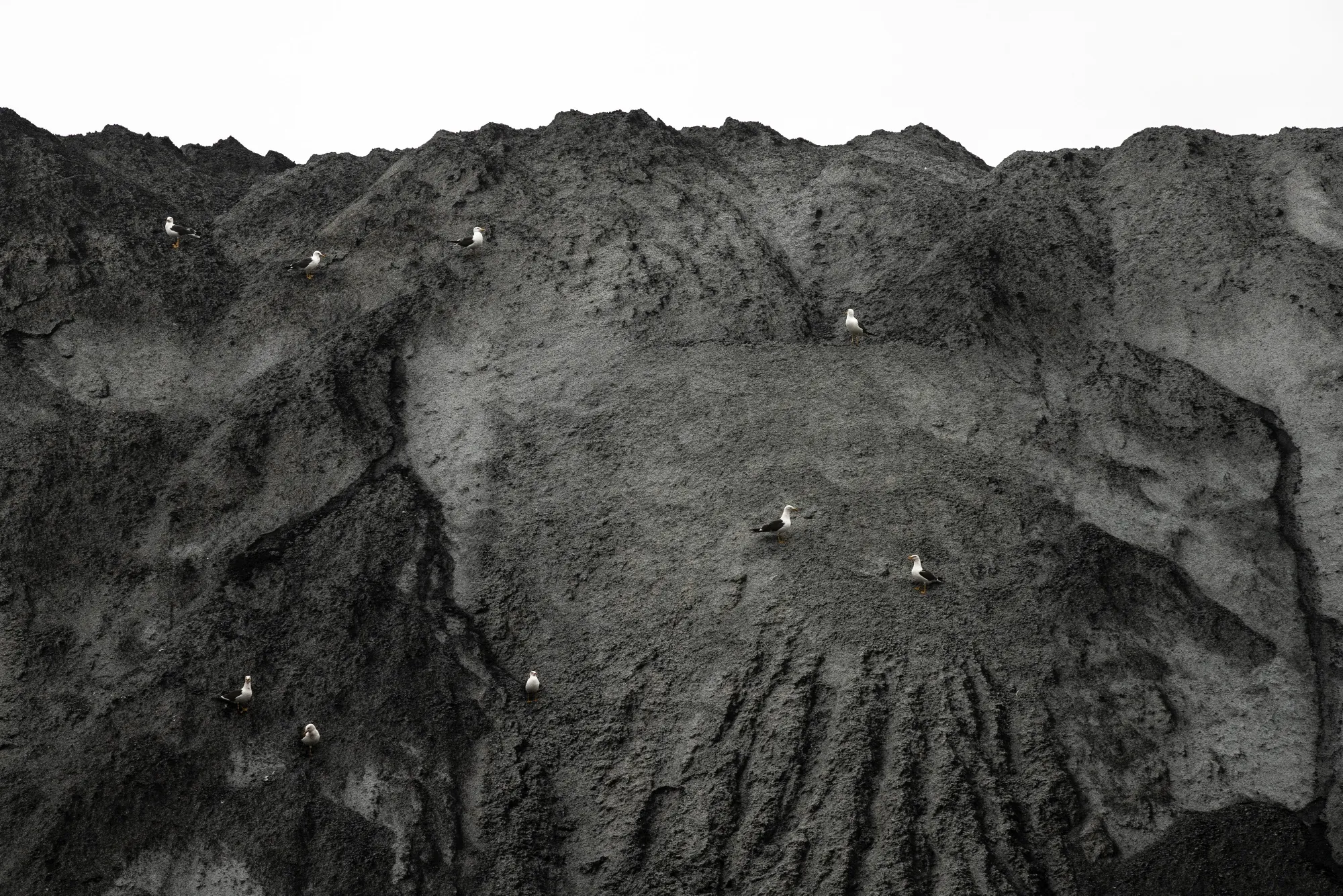 A stockpile of coal at a power&nbsp;plant at the Port of Rotterdam, Netherlands