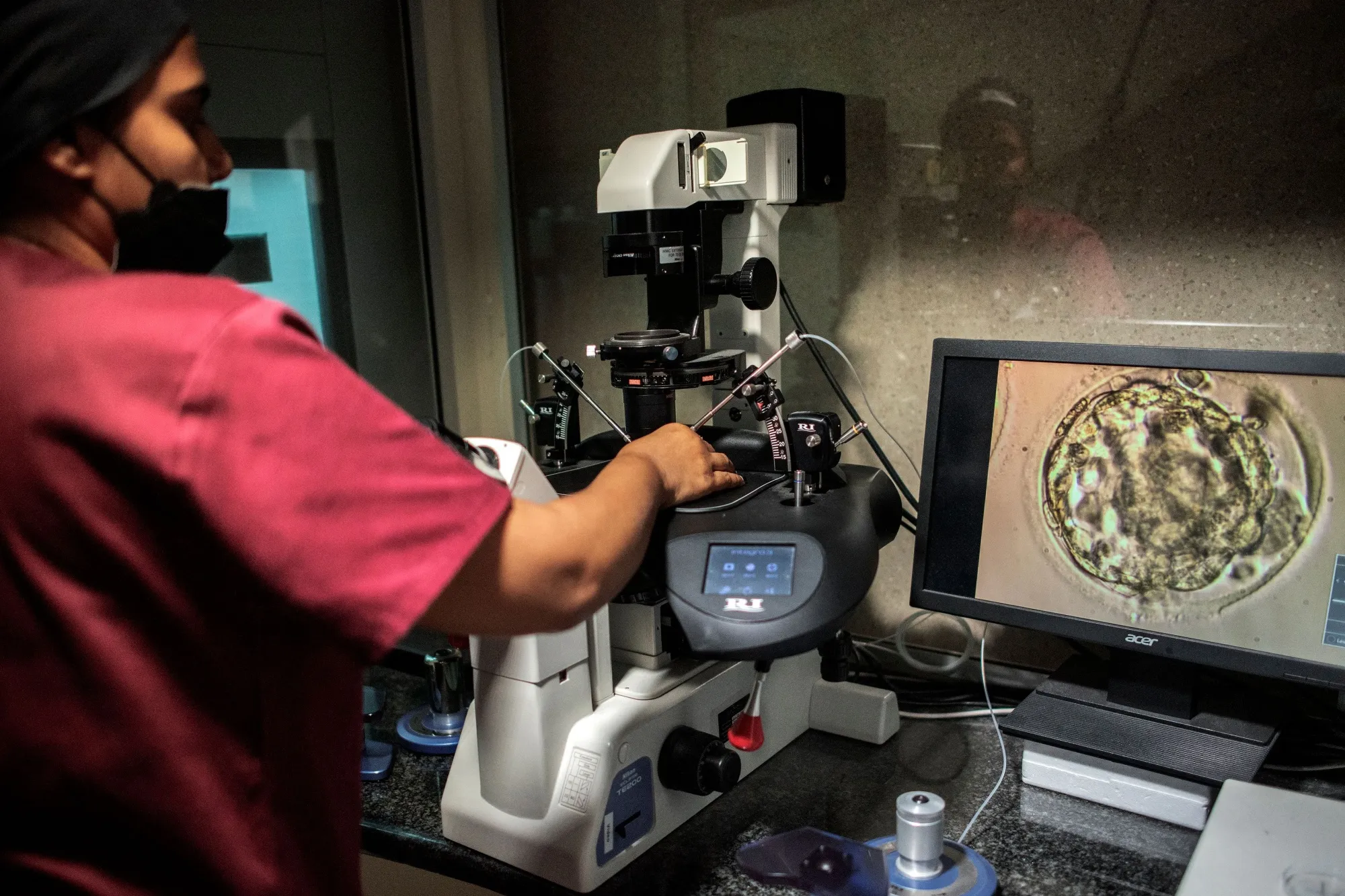 A technician prepares thawed blastocysts during an in-vitro fertilisation process.