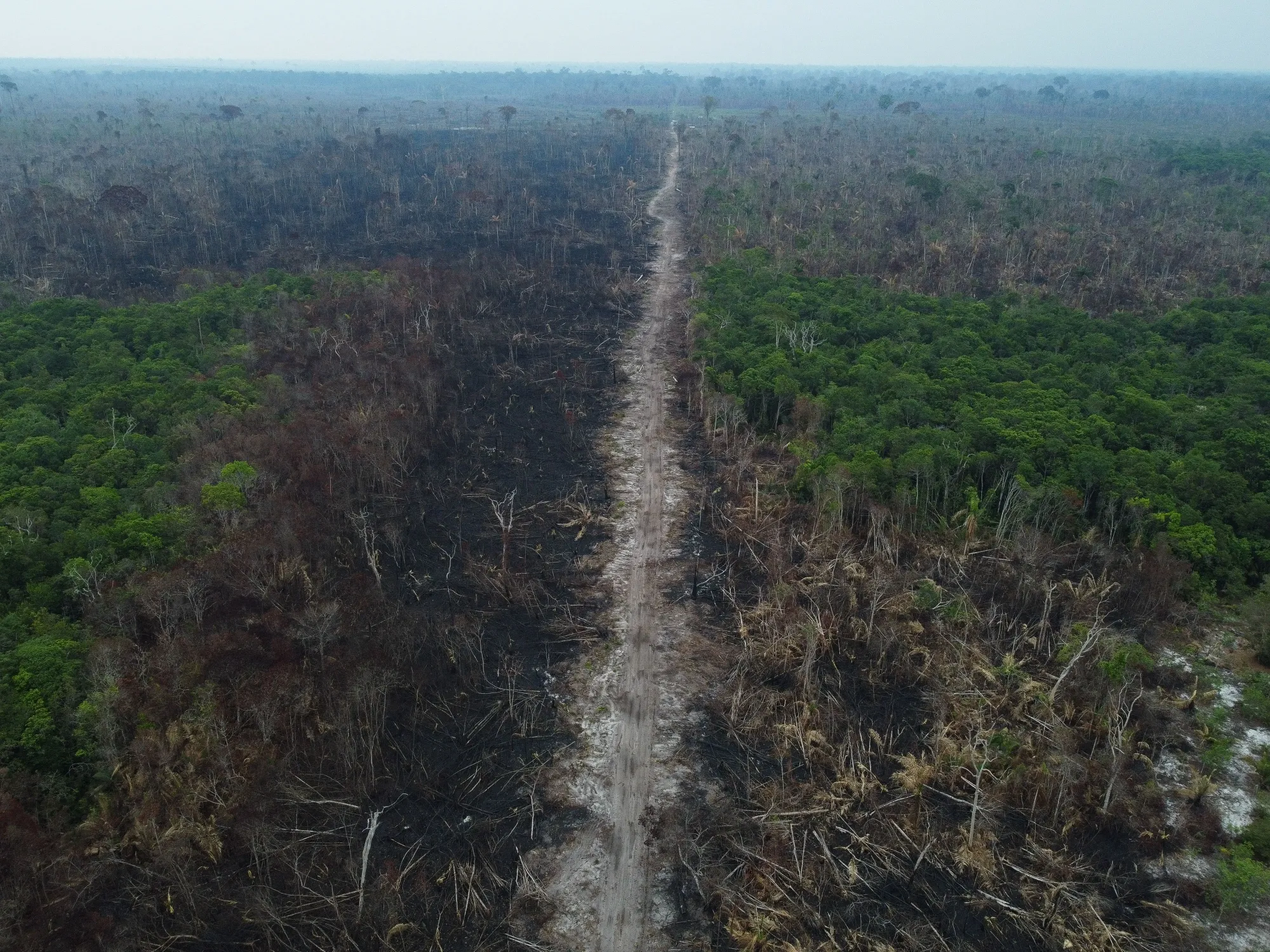 A deforested and burnt area on the edge of the BR-230 (Transamazonica) highway in Manicoré, Amazonas state, Brazil.