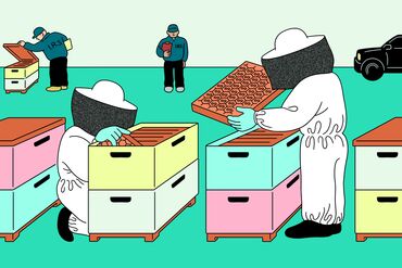 Strange Yet Legal HP