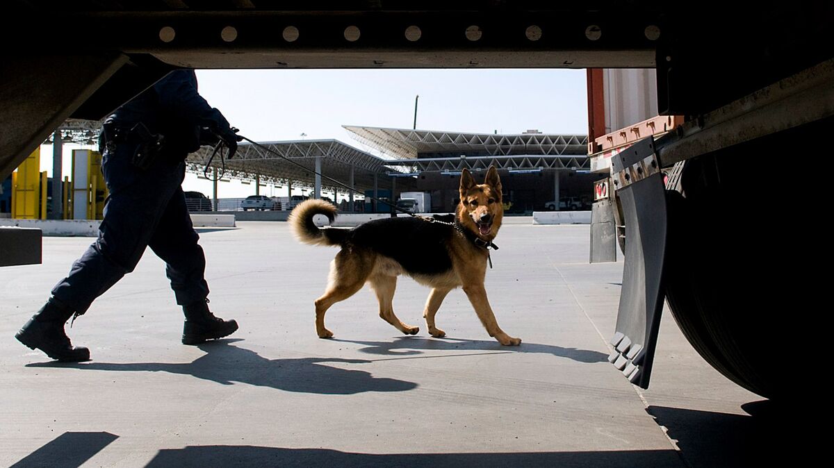 All-X K9 - Dog Training - Louisville, Kentucky