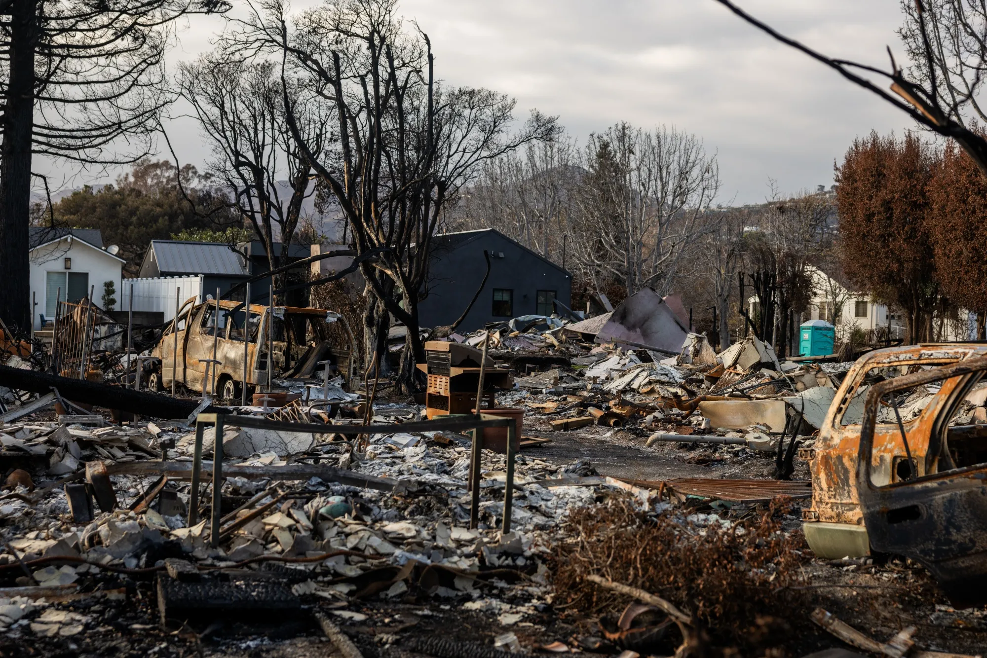 Homes destroyed by the Palisades Fire in Los Angeles, California.