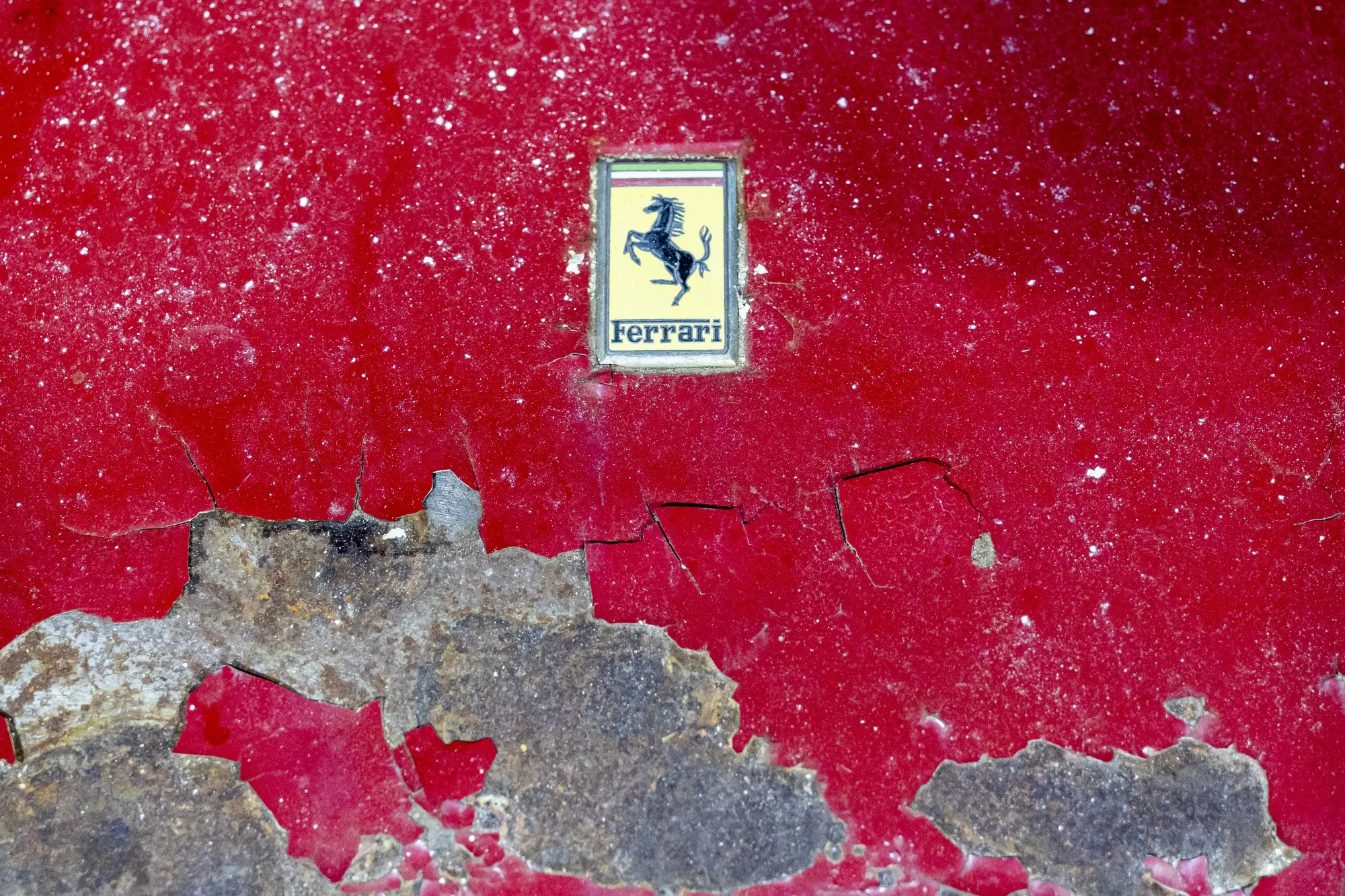 The hood badge of a derelict 1965 Ferrari 275 GTB/6C Alloy. Classic Ferraris are rarities that only a handful of well-trained mechanics can repair.&nbsp;
