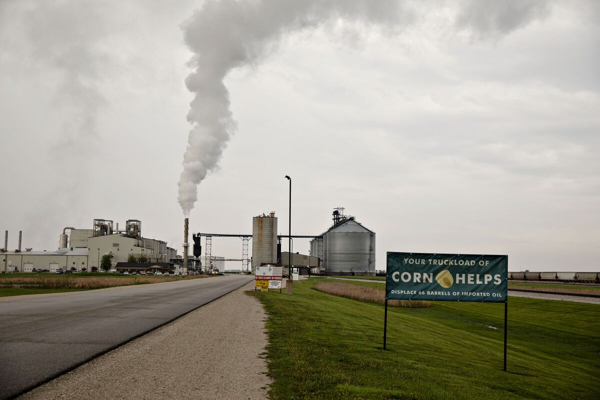 ⚫️ BLOOMBERG: La Casa Bianca sostiene biocarburanti e agricoltori nonostante le critiche ad altre energie pulite