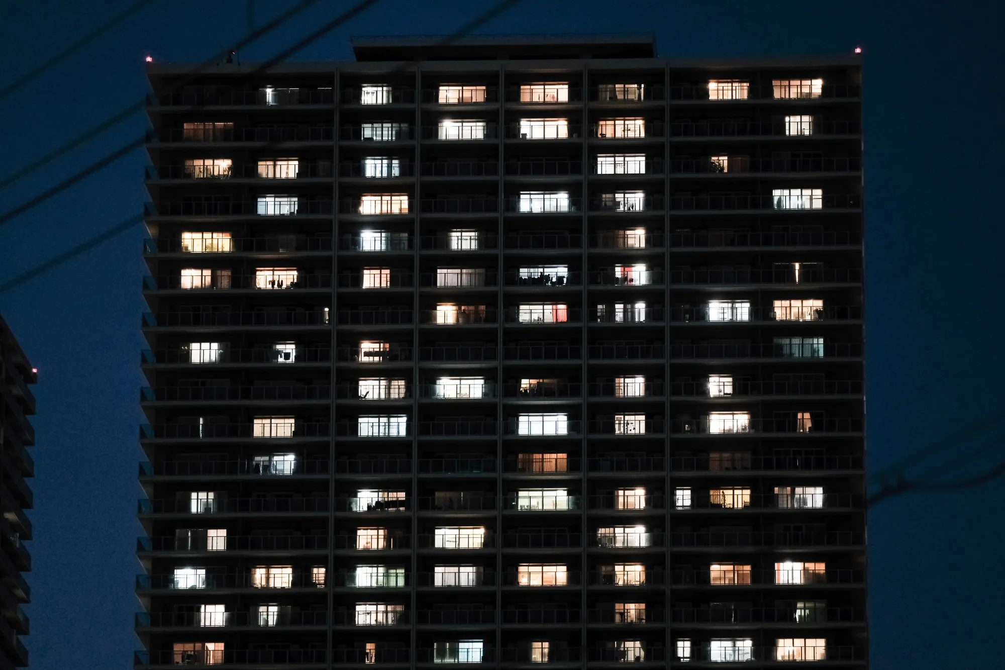 The Japanese government has returned to conservation tactics over the last year.