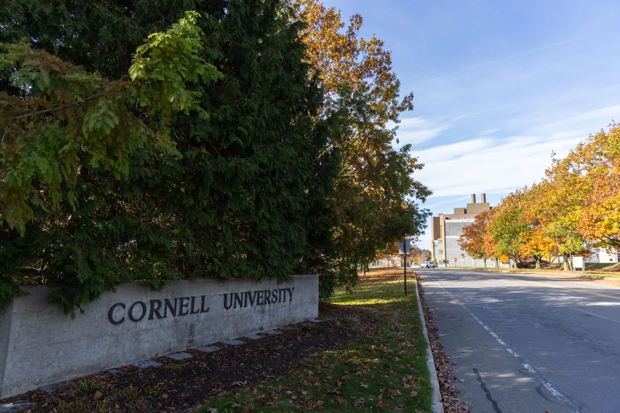 The Cornell University campus in Ithaca, New York.