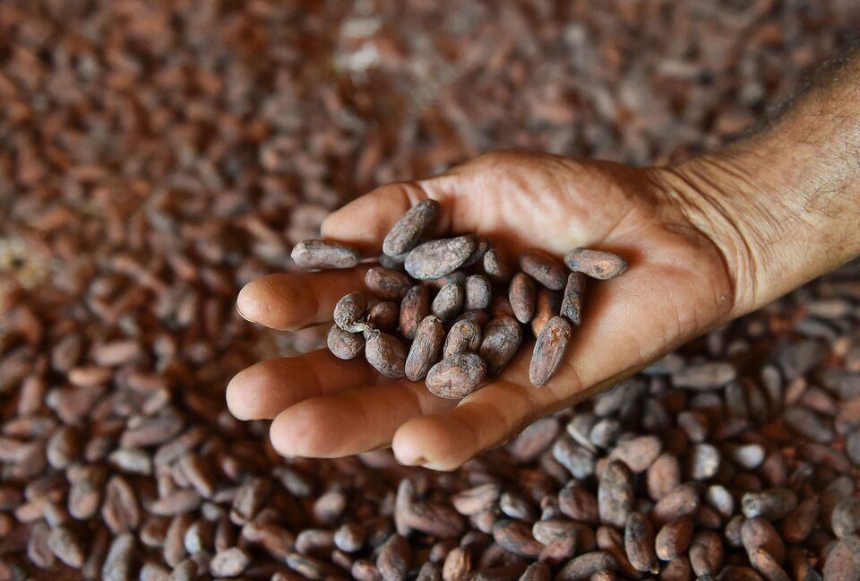 Cargill Is Behind Big Trade That Rattled the London Cocoa Market