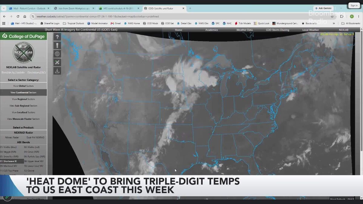 New York, Chicago Grids Strain as Record Heat Wave Expands