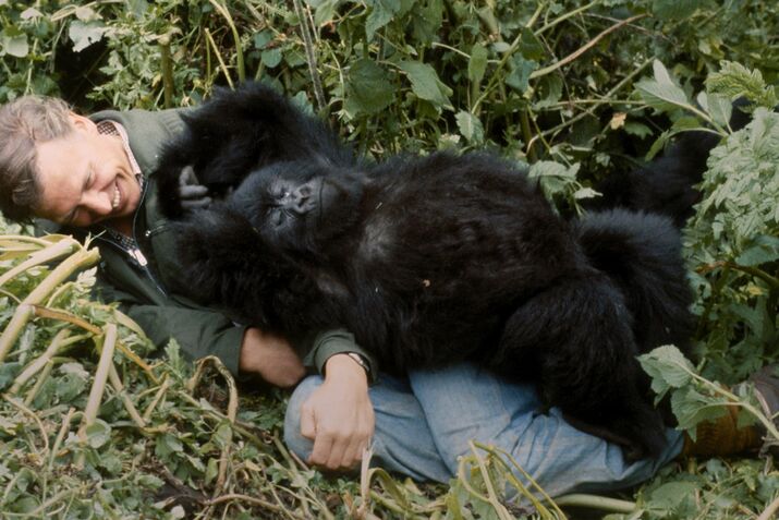 There Will Never Be Another David Attenborough