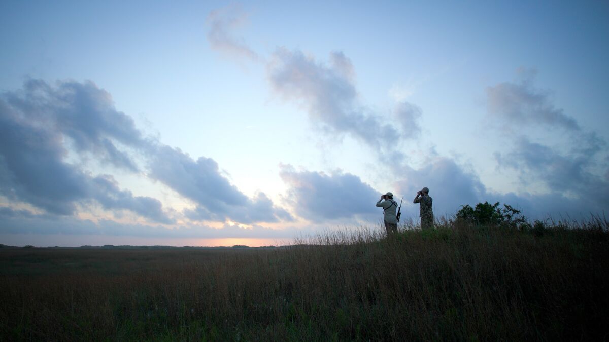Hunting Is Having a Moment