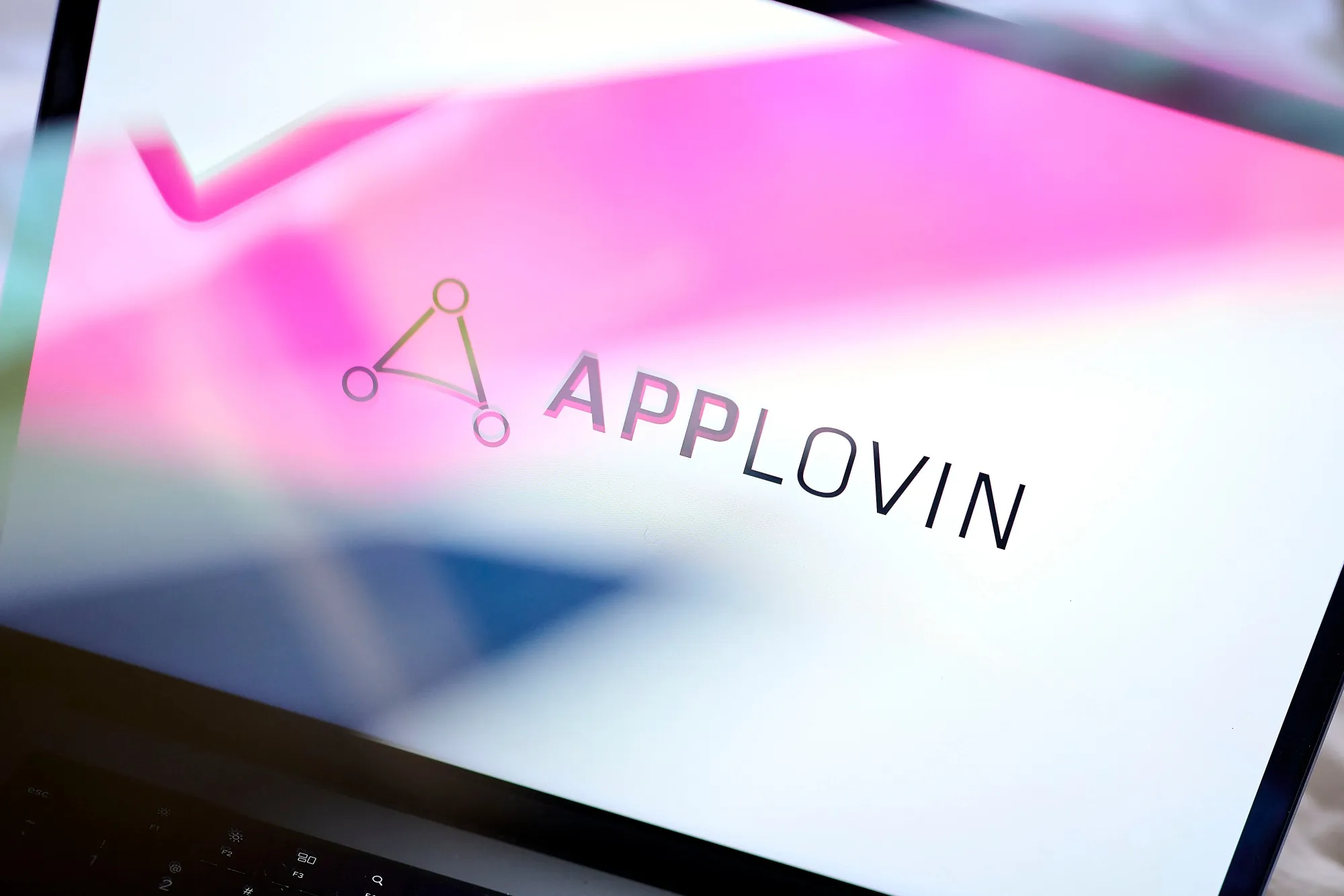 AppLovin Corp., which provides marketing services to app developers, shed more than $32 billion in value as investors unwound some of the blistering rally that saw shares rise eightfold last year.