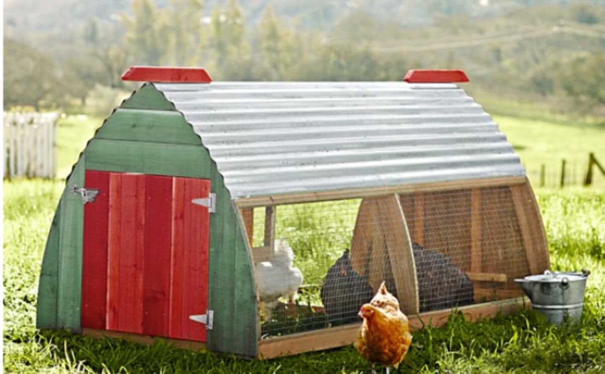 Cedar Acres Coop!  BackYard Chickens - Learn How to Raise Chickens