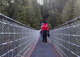 Capilano Suspension Bridge Canyon Lights 2021