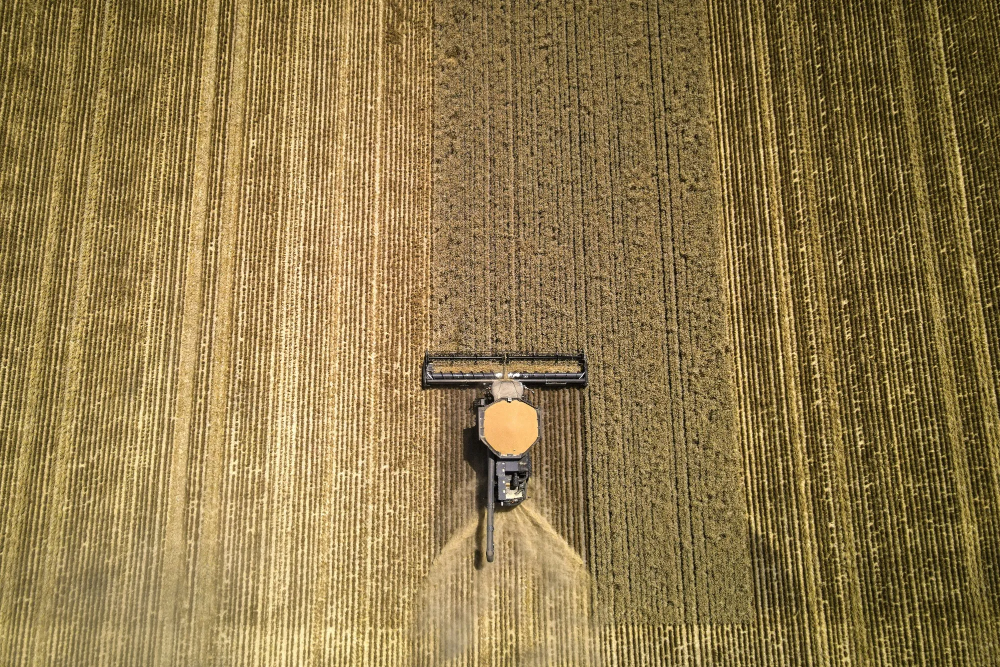 Australia is one of the world’s largest exporters of wheat and planting decisions now could impact global supplies into 2027.&nbsp;