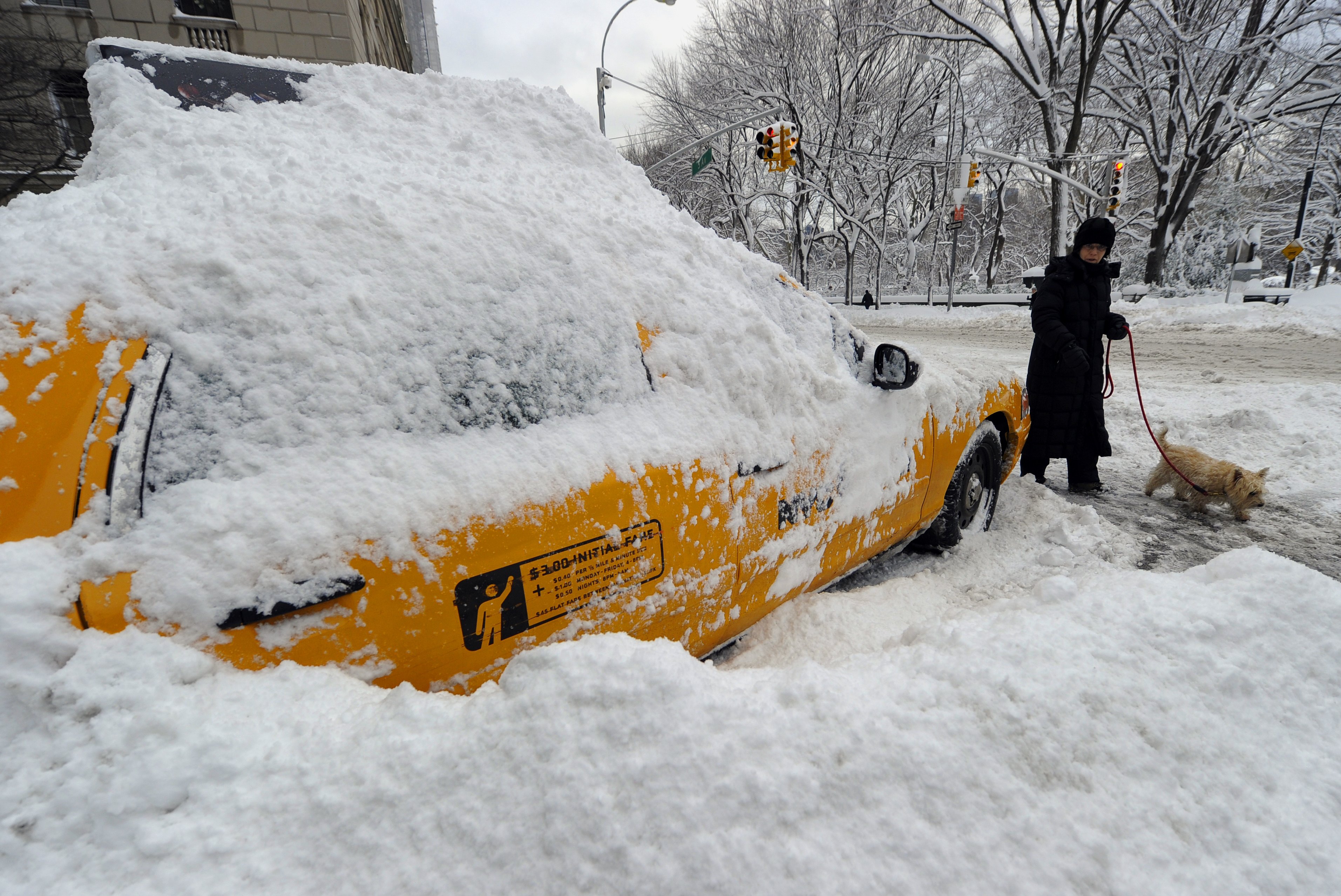 米国の猛吹雪 30州に影響 空の便 欠航 シカゴで記録的降雪か Bloomberg