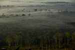 Mist hangs over the Amazon, between the cities of Rio Branco and Senador Guiomard, Brazil.