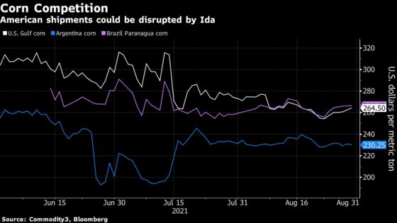 Hurricane Ida Threatens U.S. Grain Exports If Disruptions Linger