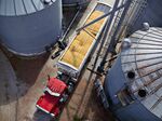 Corn Harvest As Futures For Delivery Gain