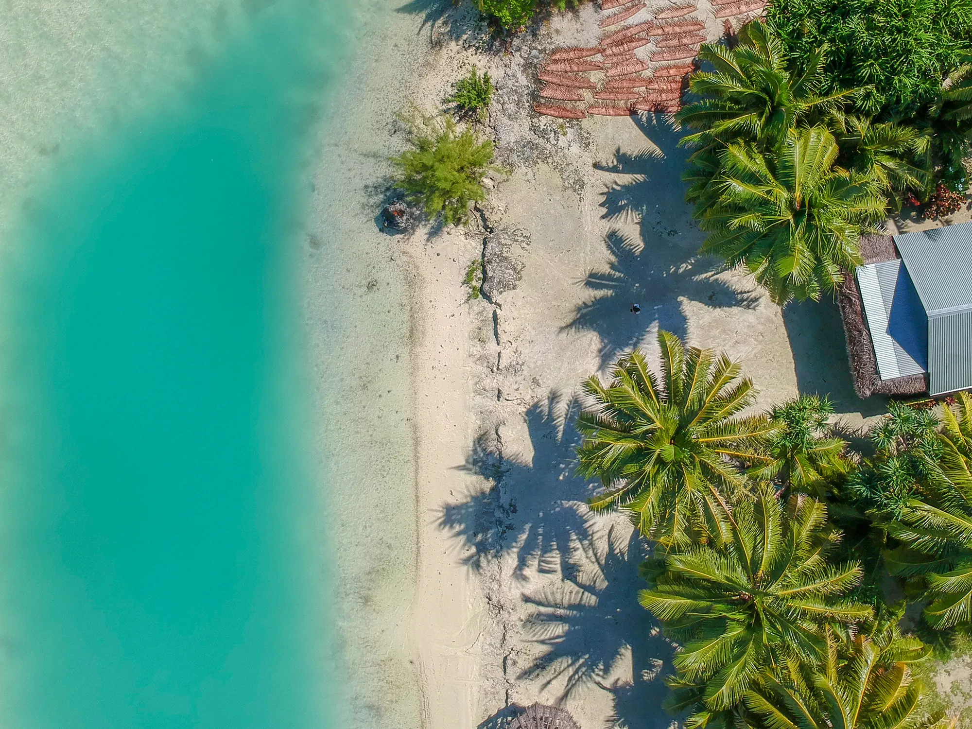 RF Cook Islands Vacation