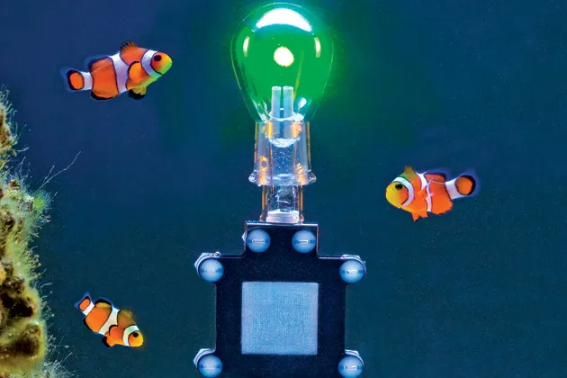 The battery "breathes" oxygen much as a fish breathes through its gills