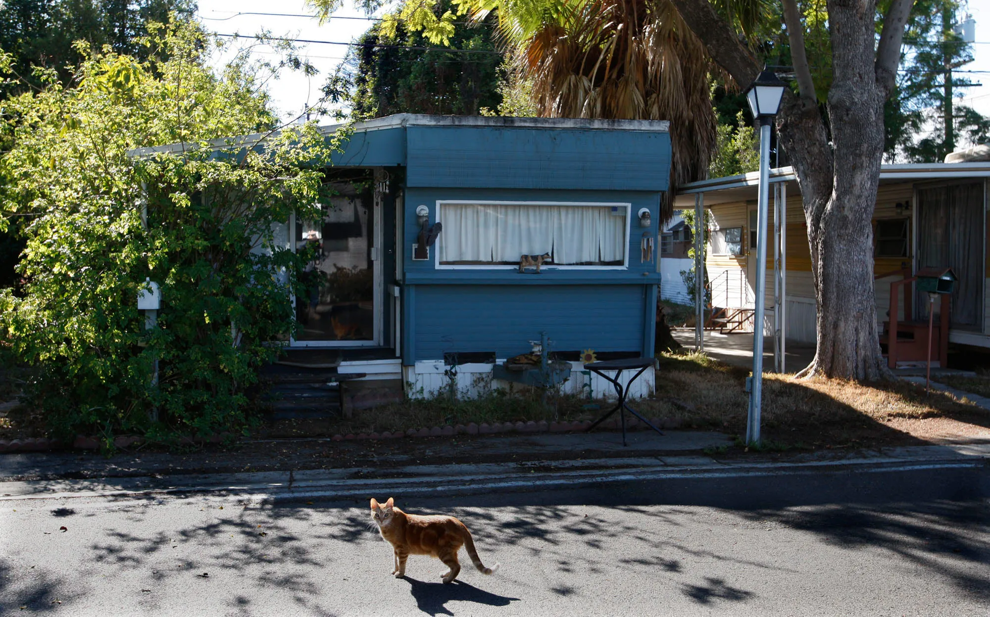 A trailer park in Santa Monica, Calif.
