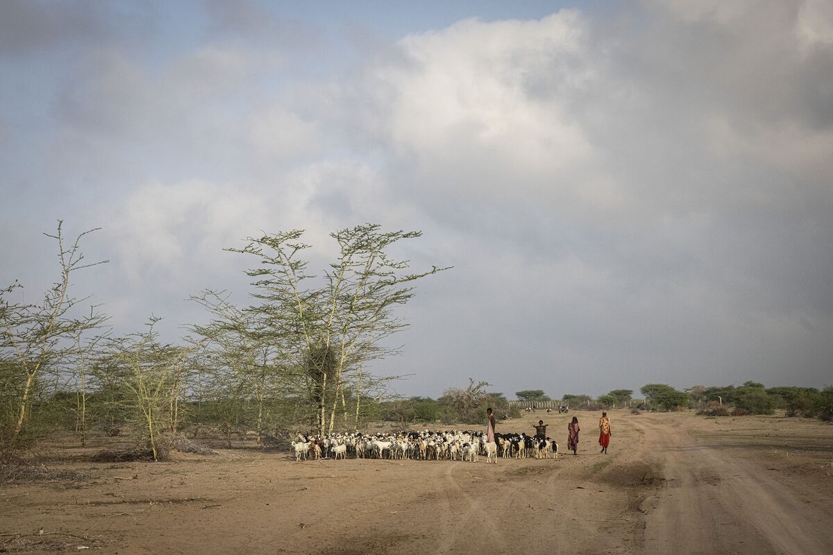 Worsening Drought Leaves 3.5 Million Needing Food Aid in Kenya