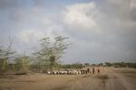 A family migrates in search of grazing land in Wajir County, Kenya.