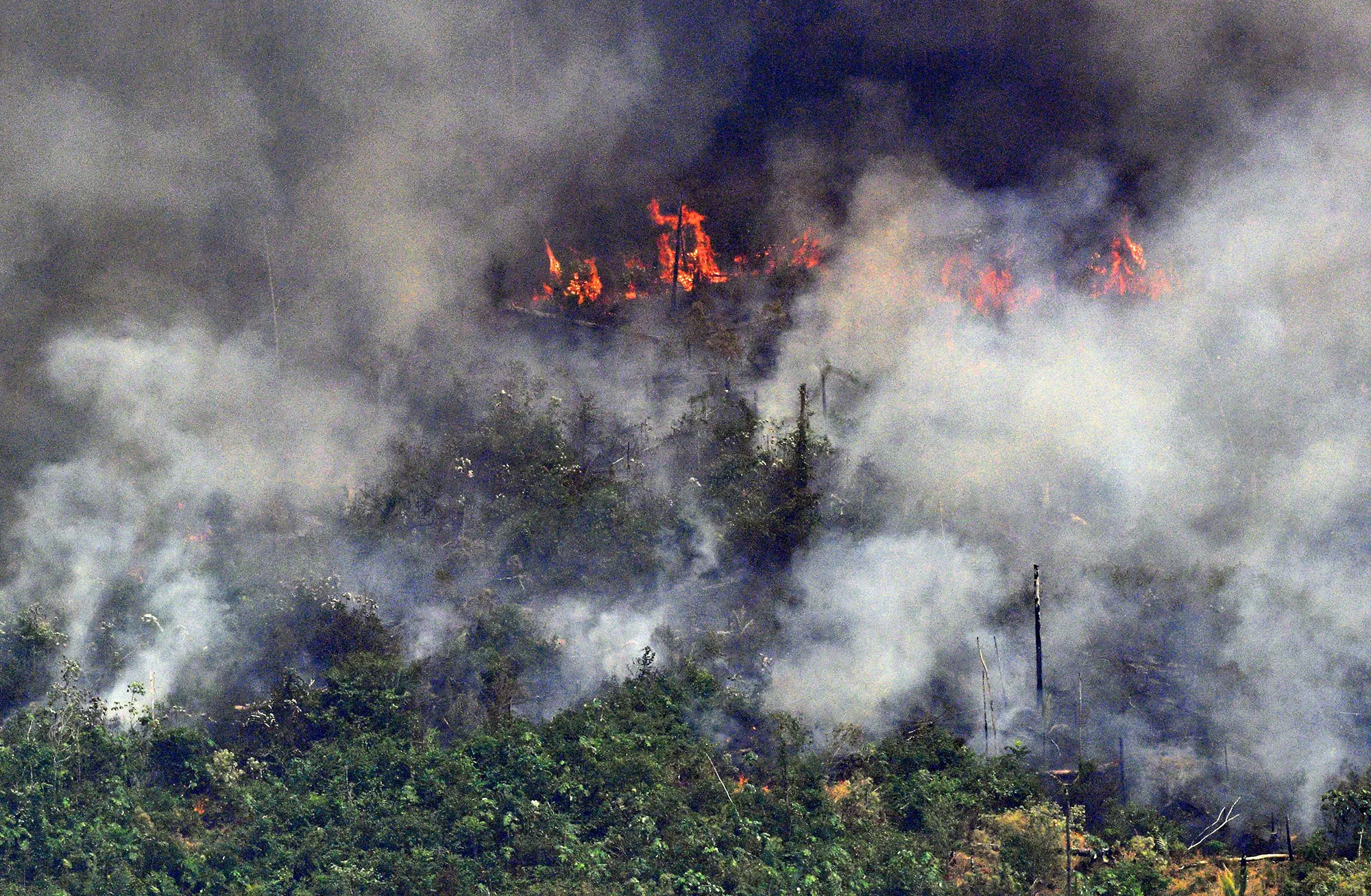 A fire billowing from the Amazon rainforest about 65 km from Porto Velho,&nbsp;in northern Brazil, on Aug. 23.