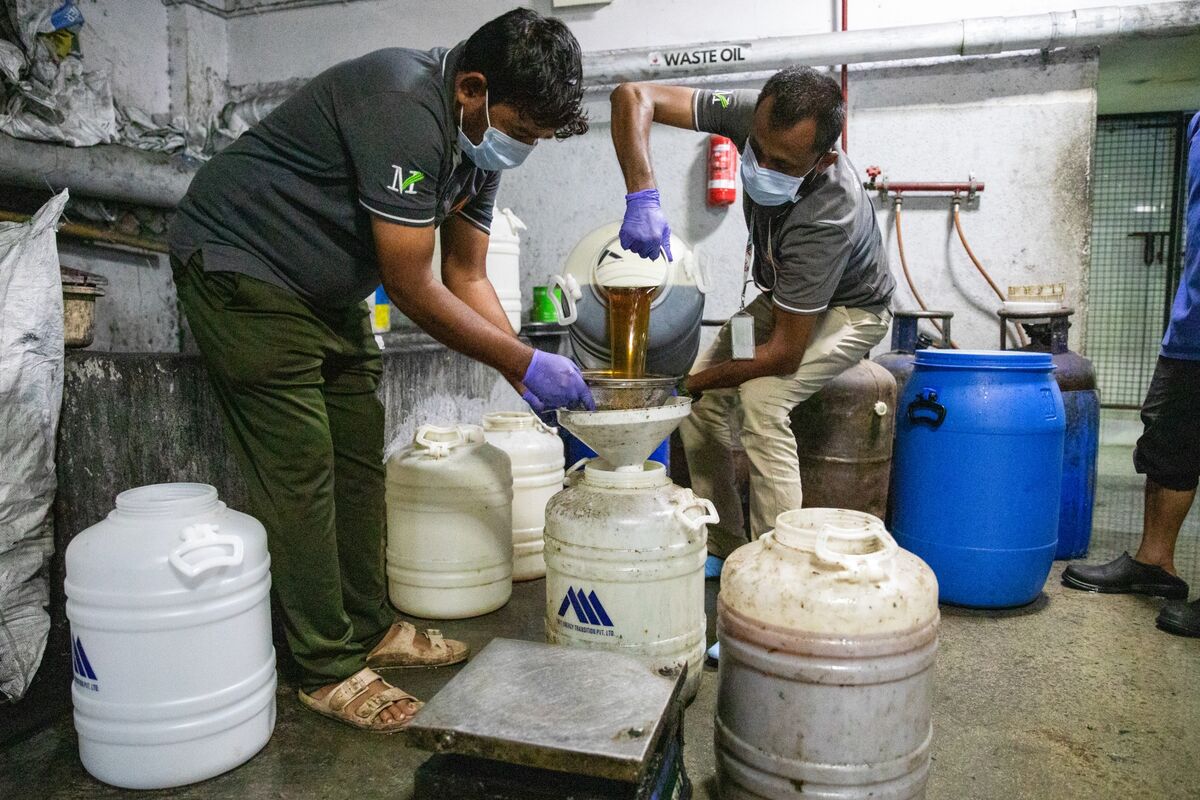 India’s Biofuel Mandate Spurs Rush for Waste Cooking Oil to Fuel Trucks to Jets