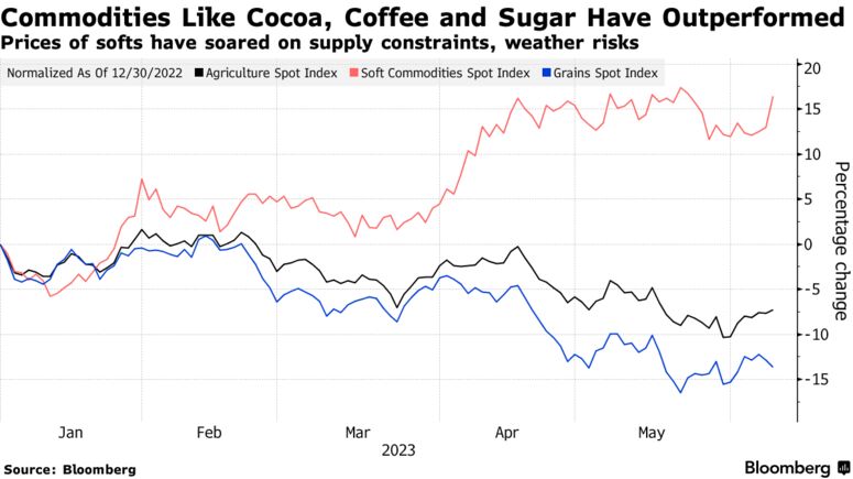 Commodities Like Cocoa, Coffee and Sugar Have Outperformed Grains | Prices of softs have soared on supply constraints, weather risks
