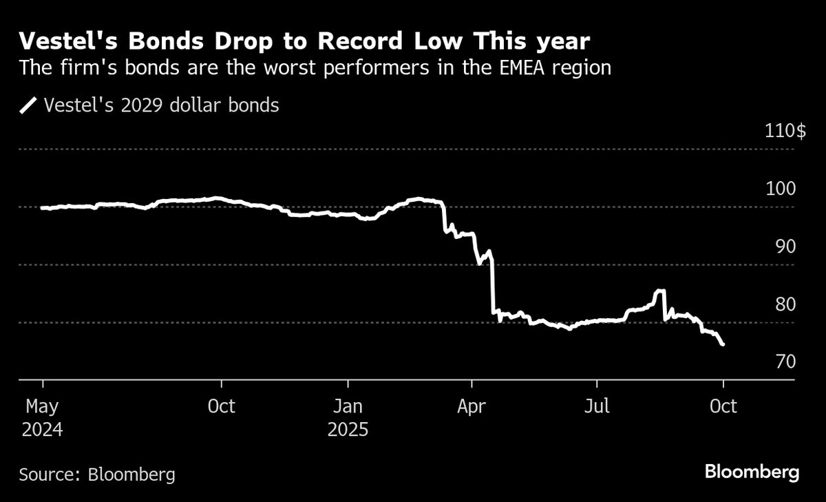 Turkey’s Vestel in Talks to Swap Lira Loans Into Hard Currency