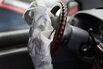 Massive Airbag Recall Prompts Safety Concerns