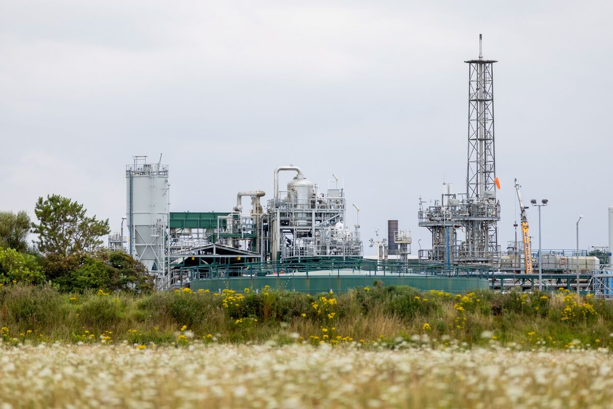 How Finland Is Teaching a Generation to Spot Misinformation TrendRadars