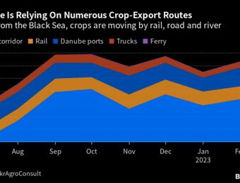 relates to Supply Chain Latest: Ukraine Grain Deal Talks and China's Food Security