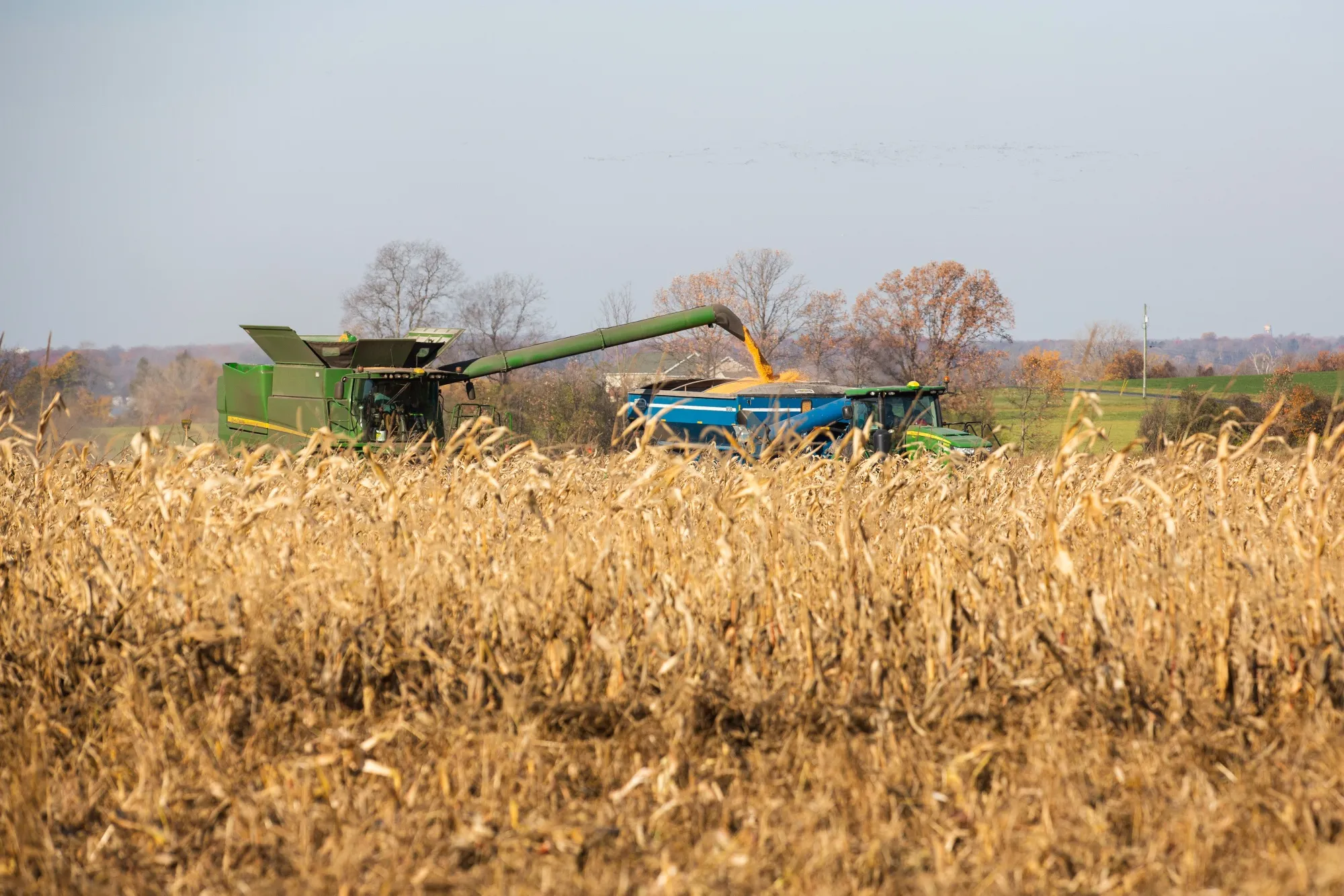 House Farm Panel Agenda In Flux After Peterson Election Loss 