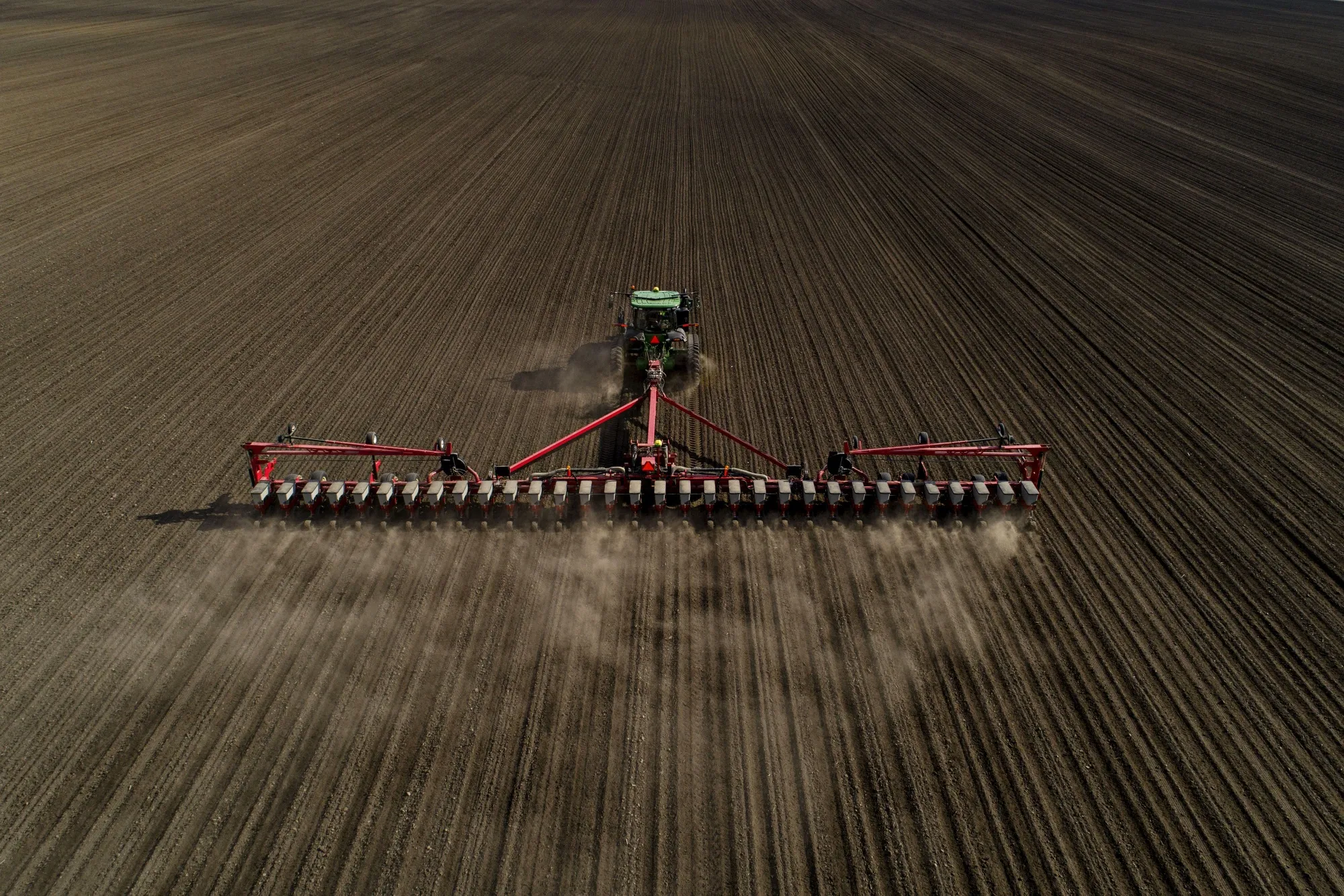 Corn is planted in&nbsp;a field outside Henry, Illinois.