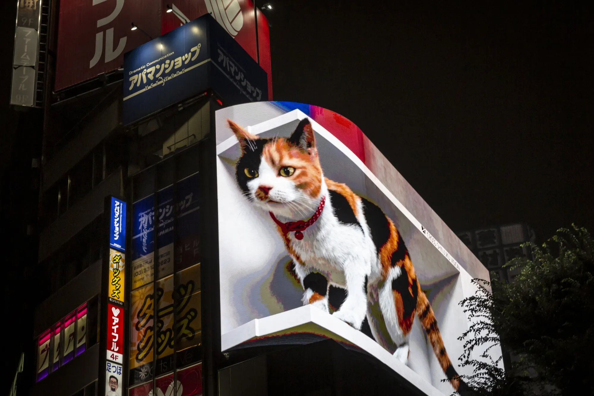Shinjuku’s giant 3-D cat.