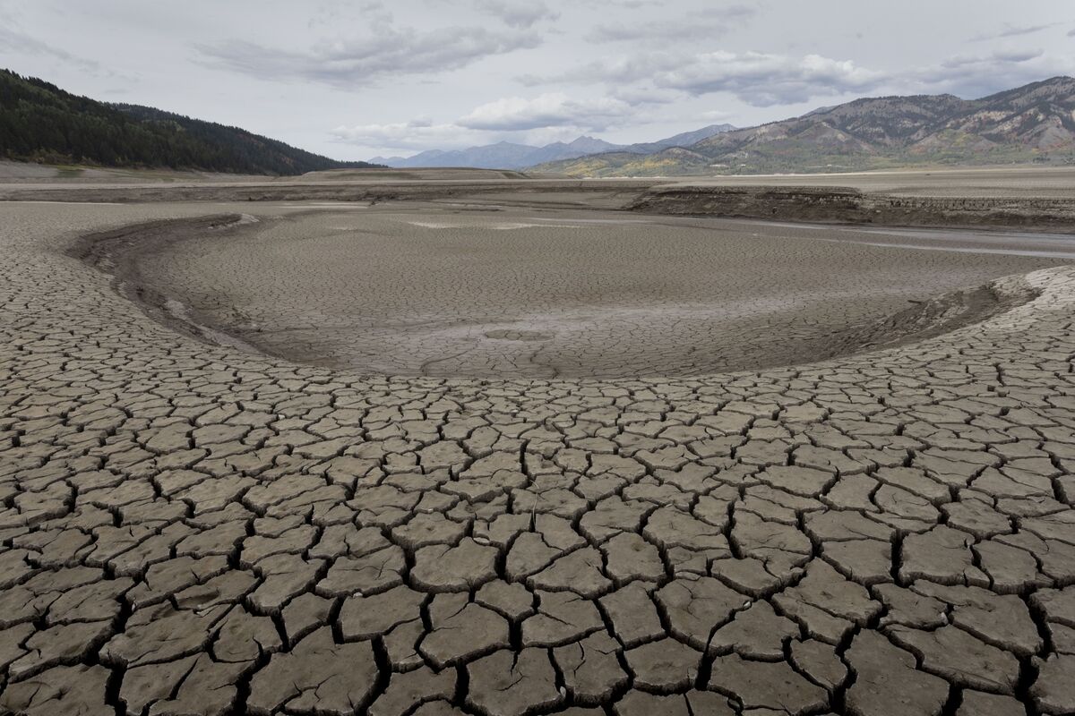 Us Northwest Drought Prompts Eia To Cut Hydroelectric Power Forecast 