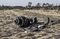 Six Minutes to Disaster: Ethiopian Air Pilots Battled Boeing Max