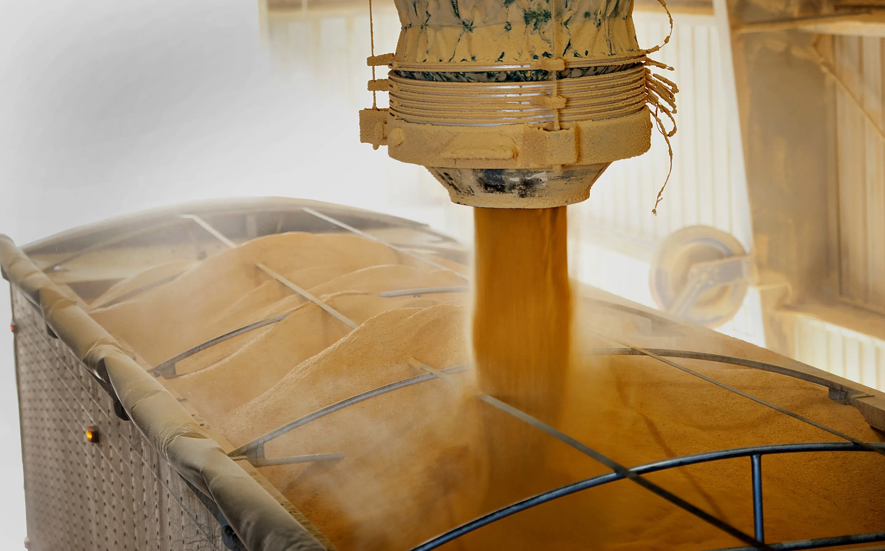 Distillers dried grains are the main co-product left over after the starch in corn is fermented to produce ethanol.&nbsp;