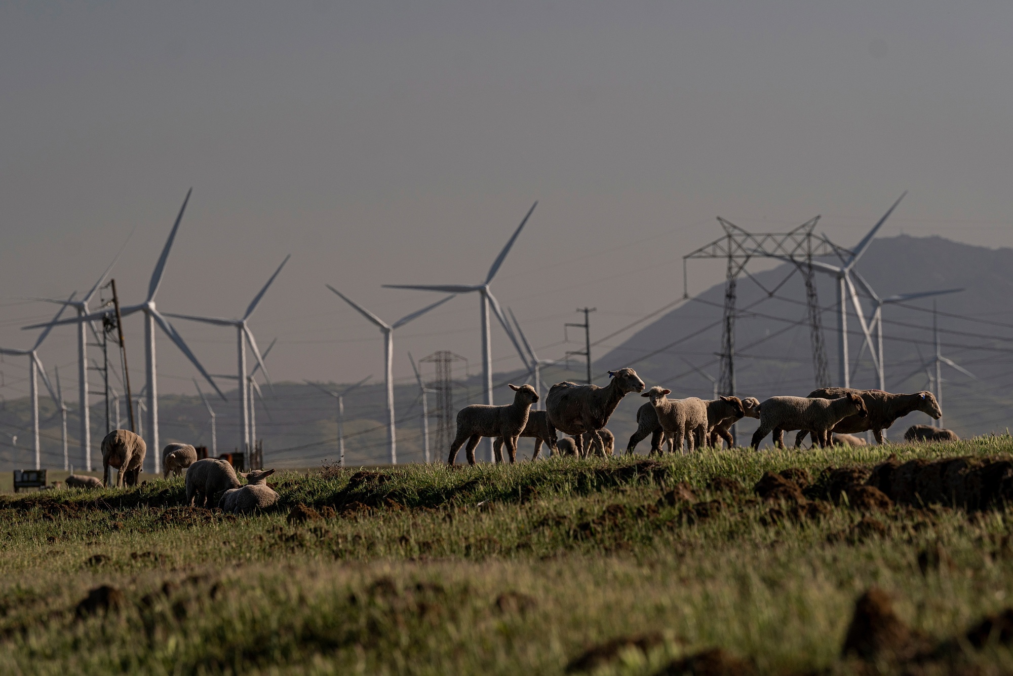 Wind Farm Operations As Biden To Bet Big On $3 Trillion Infrastructure Program