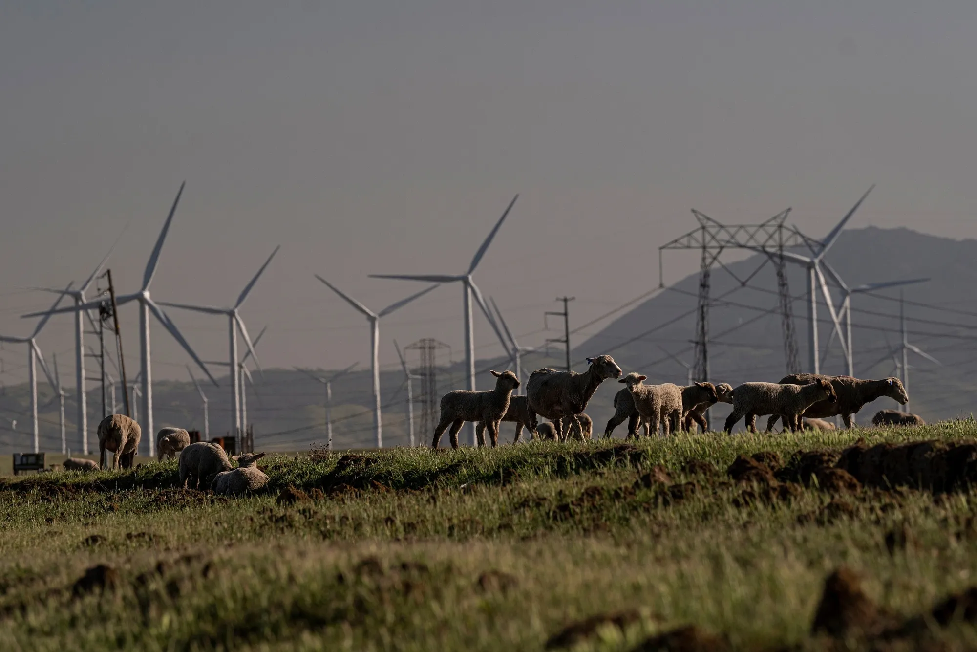 Wind Farm Operations As Biden To Bet Big On $3 Trillion Infrastructure Program
