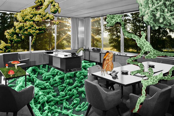 To Make a Building Healthier, Stop Sanitizing Everything