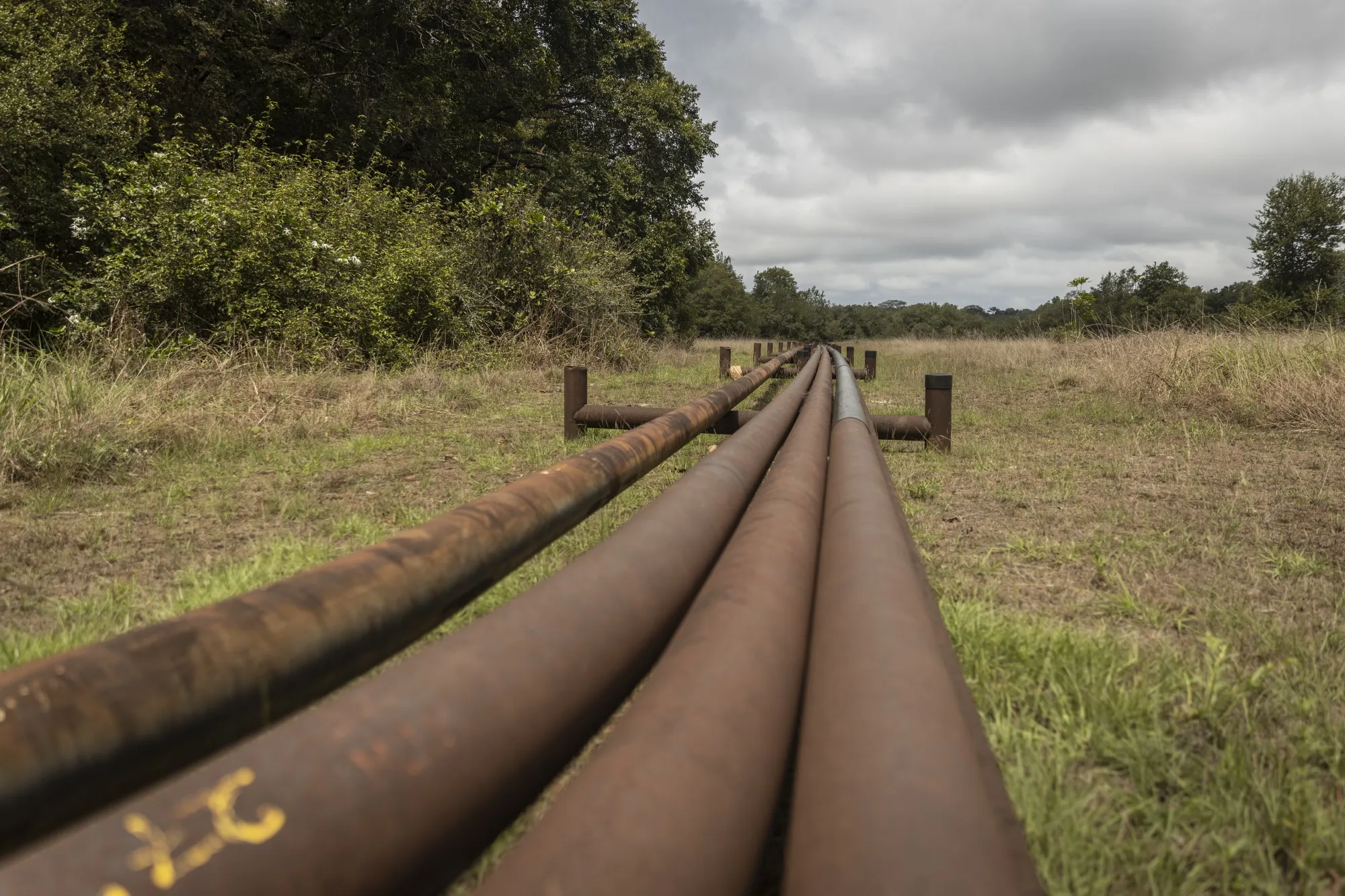 Oil pipelines in Gamba, Gabon.