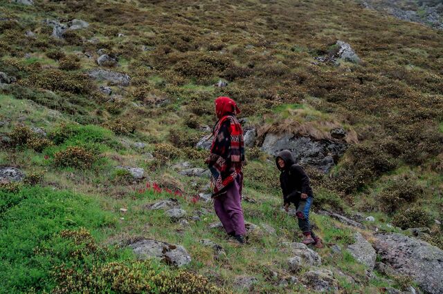 Rawat searches for more mushrooms with Tara Rawat (no relation). As of late June, he’d found 45 over the course of the season.