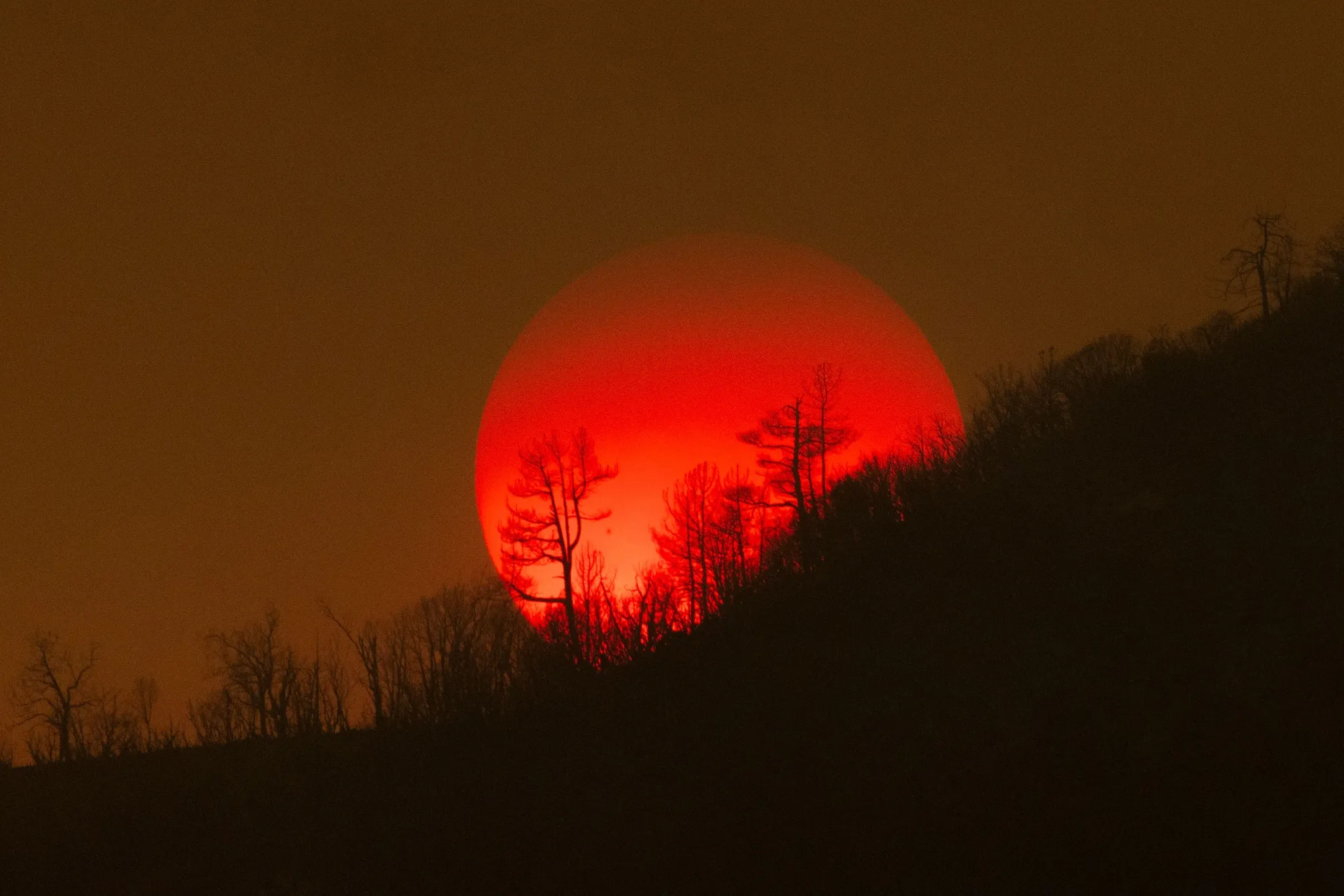 The sun sets behind a burned forest following a wildfire in California in 2022.